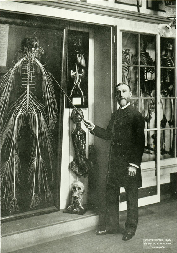 Rufus Weaver and the nerve dissection titled 'Harriet.'(The Legacy Center Archives and Special Collections)