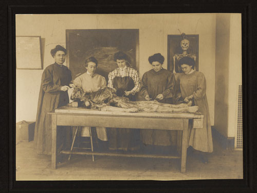 Dissection of a human body, circa 1901 (The Legacy Center Archives and Special Collections)