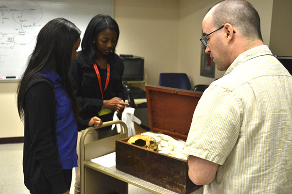 Mastery Interns with 19th century box of bones (The Legacy Center Archives and Special Collections)