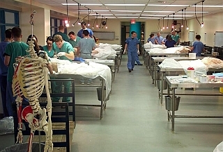 Cadaver lab at Drexel University College of Medicine, 2011 (The Legacy Center Archives and Special Collections)