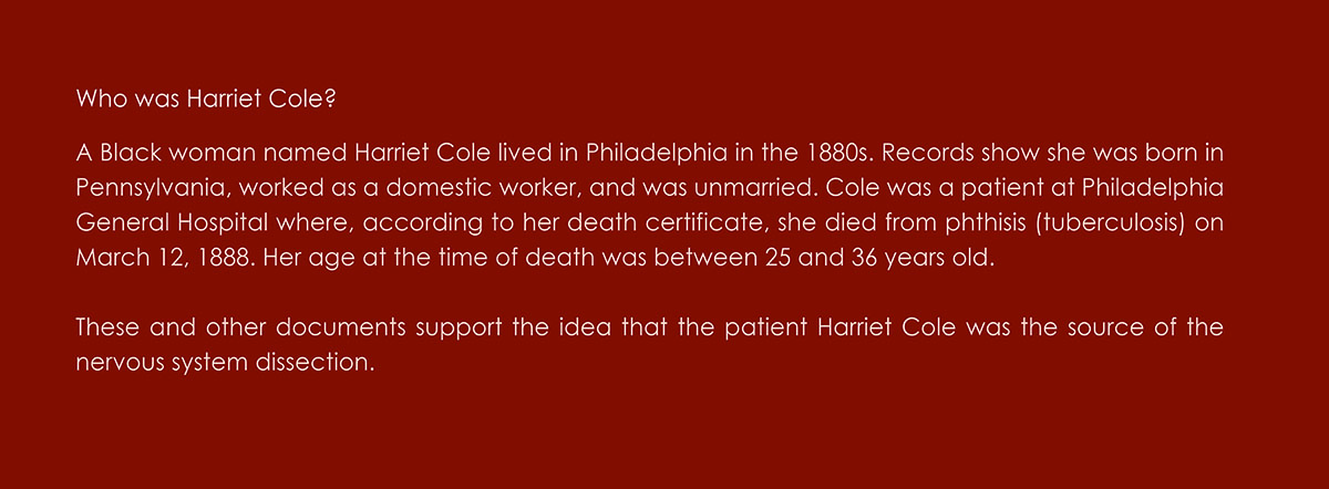 Nervous system dissection known as 'Harriet' exhibit label text - who was Harriet Cole?
