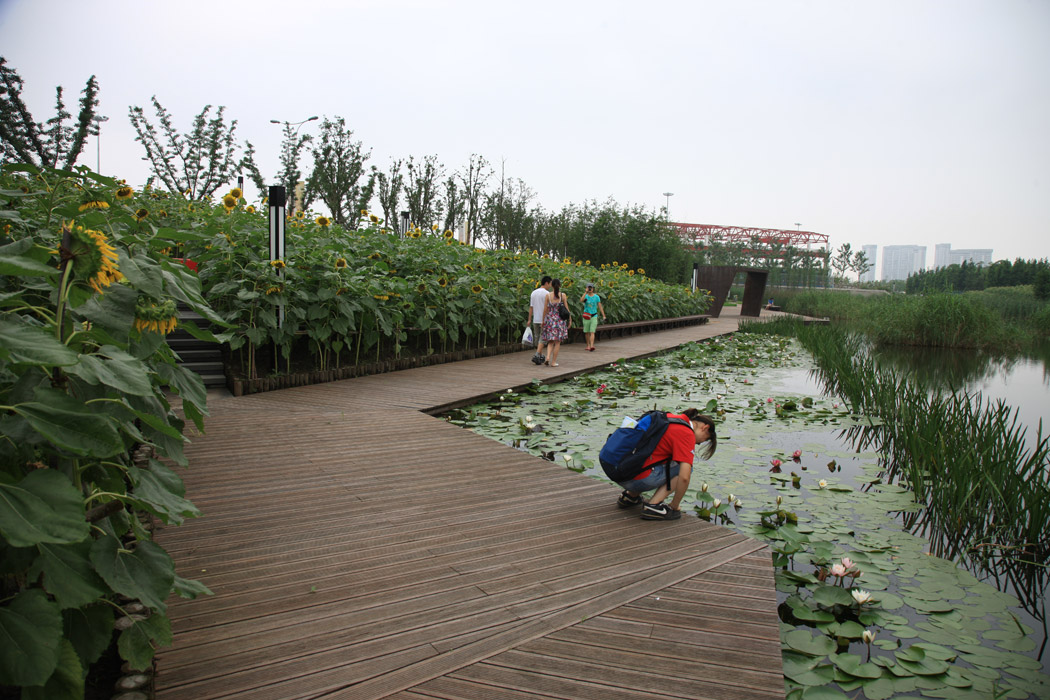 Shanghai Houtan Park Wetland