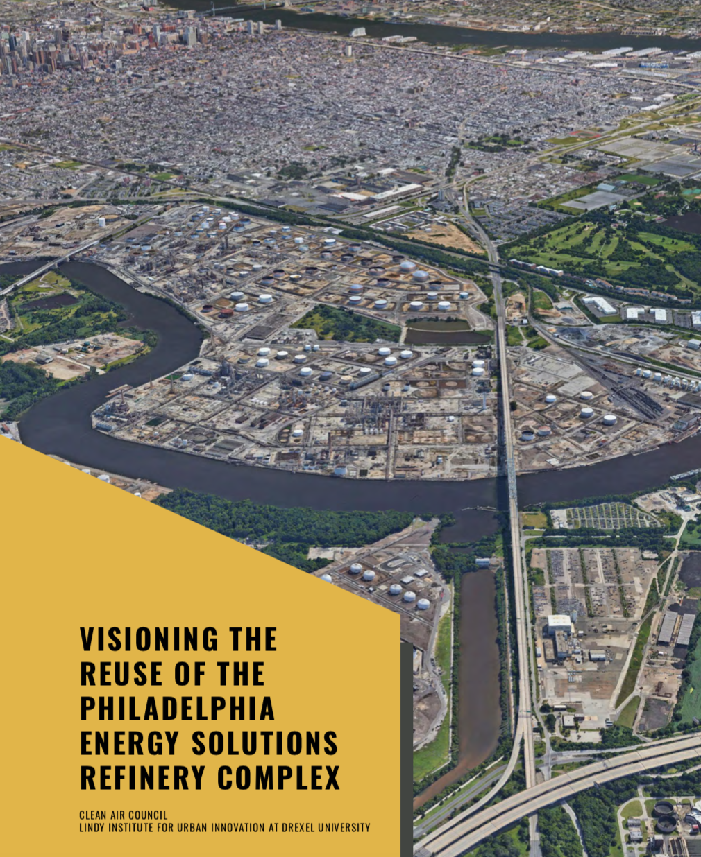 Report Cover for the PES Vision Report