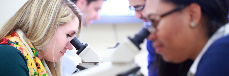 Students in the Graduate School for Biomedical Sciences and Professional Studies viewing slides under a microscope.