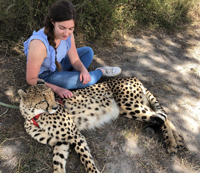 Global Health scholar Debi Smith petting a cheetah in Zambia