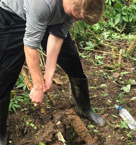 Drexel med student Garrett Mayo picking yuca in the Amazon.