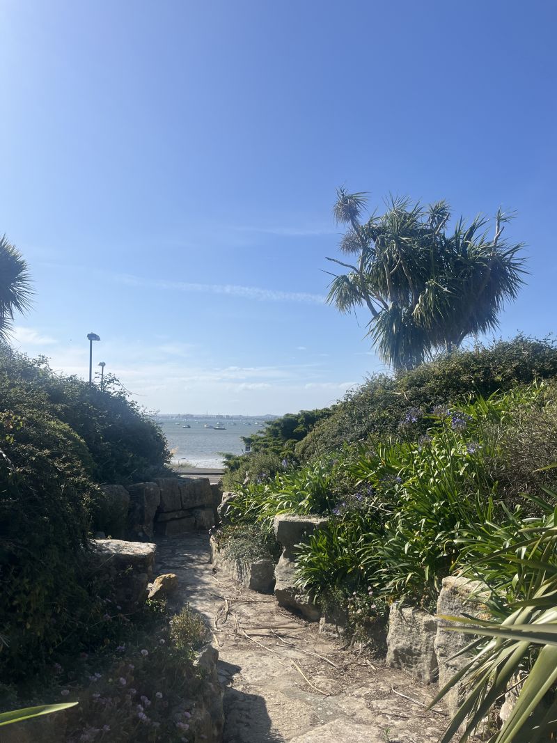 A scene from Whitney Pettijohn's global health experience in Bournemouth, United Kingdom