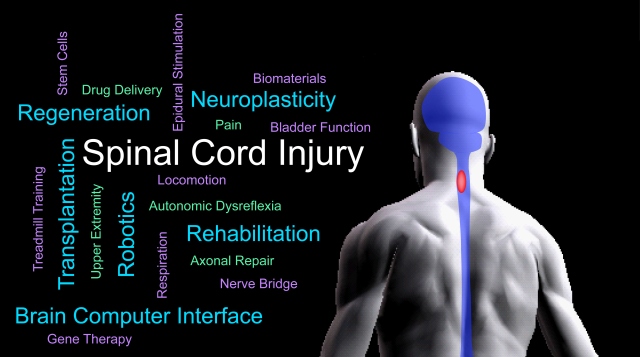 Spinal Cord Injury