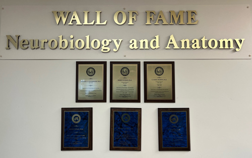 Department of Neurobiology and Anatomy Wall of Fame
