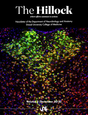 The Hillock - Volume 2 December 2018 - Department of Neurobiology and Anatomy