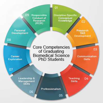 Core Competencies Of Graduating Biomedical Science PhD Students ...