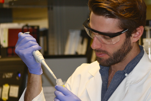 Ryan preparing his Western blot samples, order to detect endocannabinoid markers in the LC.