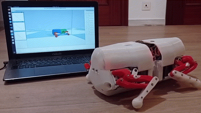Neural control of turning and steering robot simulation  (source: Laboratory for Theoretical and Computational Neuroscience).