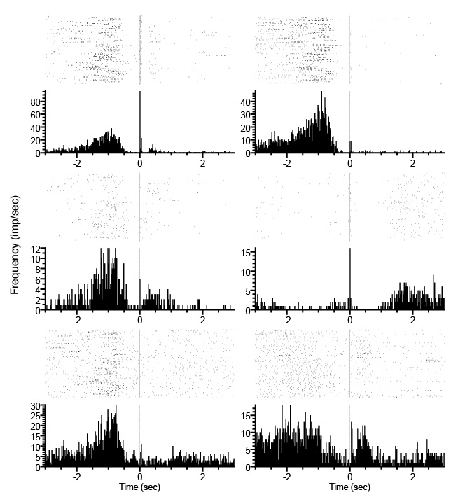 España Lab: Perievent histograms depicting single cell activity prior to an operant response.