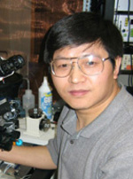 Wen-Jun Gao, PhD