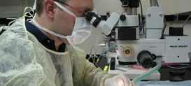 A Clinical Research program graduate student working in the laboratory at Drexel University College of Medicine.