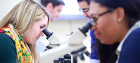 Students in the Graduate School for Biomedical Sciences and Professional Studies viewing slides under a microscope.