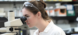 A Cancer Biology program graduate student working in the lab at Drexel University College of Medicine.