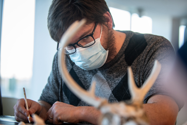 A student studying antlers to draw them at the Dispassionate Observation event