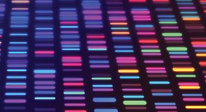 DNA sequencing image