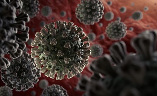 An image of a coronavirus