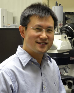 Shaoping Hou, PhD