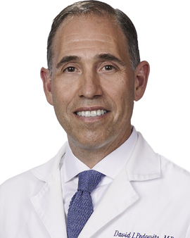 David Pedowitz