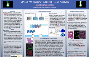 MALDI-MS Imaging-A Direct Tissue Analysis