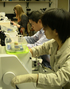 Students in the Master of Science in Histotechnology program.