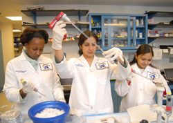 Drexel microbiology and immunology program students working in a lab.