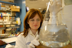 A Molecular & Cell Biology & Genetics program graduate student working in the laboratory.