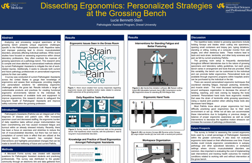 Dissecting Ergonomics: Personalized Strategies at the Grossing Bench