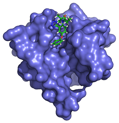 A first-in-class small-molecule inhibitor with a unique mechanism of action has been shown to target the HIV-1 matrix protein in vitro.