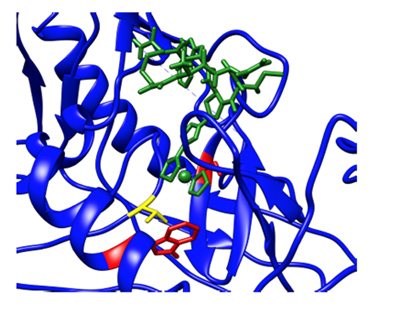 AAR029b (green sticks) docked into an HIV-1 trimer (5FUU) CD4 binding pocket.