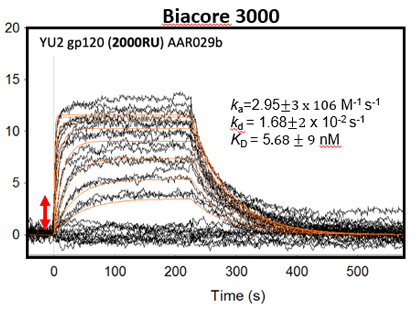 Biacore S200 versus Biacore 3000 Comparison