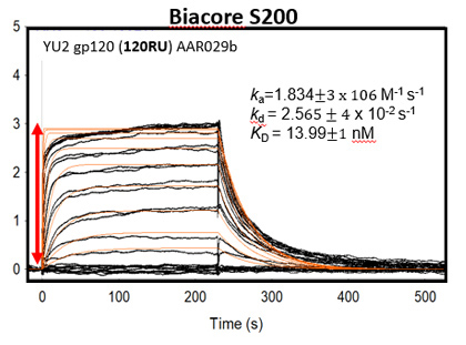 Biacore S200 versus Biacore 3000 Comparison