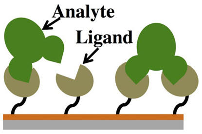 Analyte and Ligand