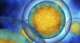 Enlarged view of human cells, translucent high color.