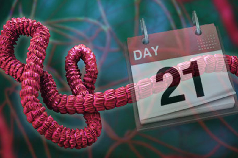 21-day quarantine for Ebola virus maybe not long enough