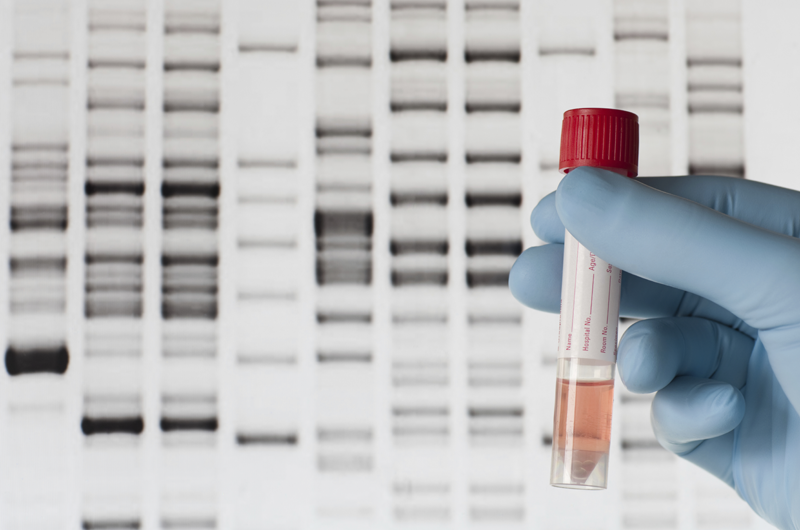 stock image depicting genetics research
