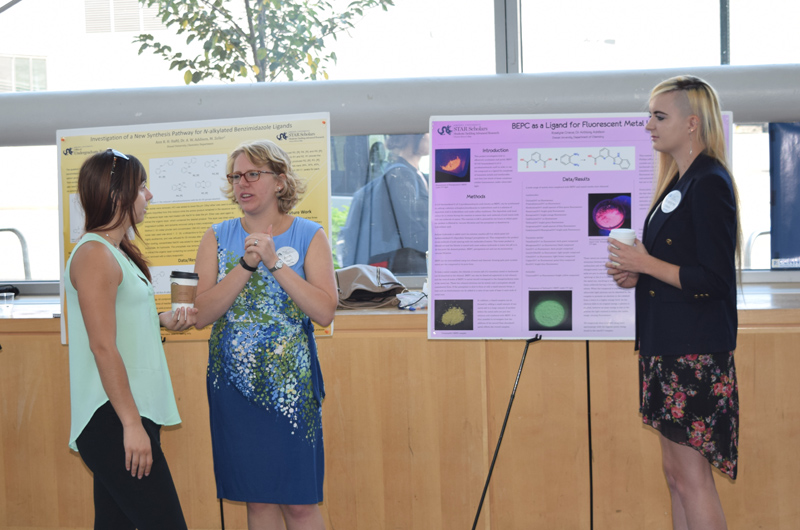 Participants in the STAR Scholars Summer Showcase talk about their research together.