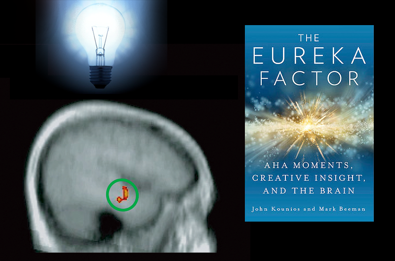 Collage of brain image, lightbulb and cover of the book "The Eureka Factor". Credits: Lightbulb by lilbitgimpy CC BY-NC 3.0; Brain by Beeman et al PLOS Biology; Eureka Factor courtesy of Random House