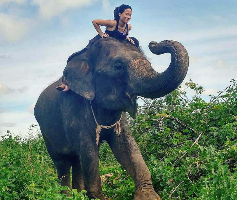 To experience the local culture in Thailand, Yu-Ann Wu enjoys riding elephants with a local guide along the River Kwai.