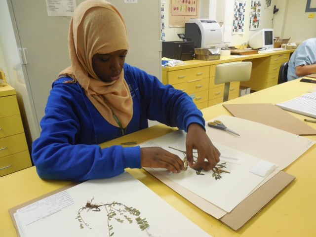 A student working with a plant at a table.