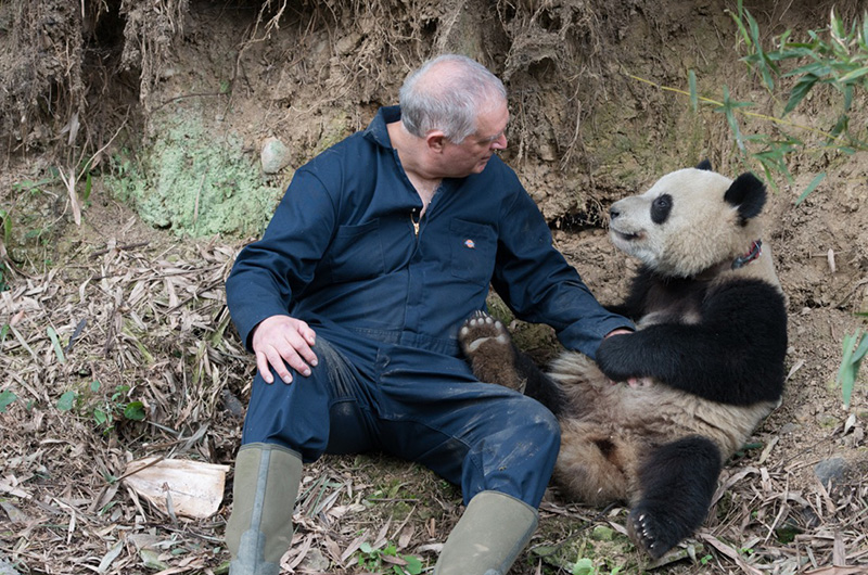 Benjamin Kilham sitting on the side of a hill with a panda, looking at each other