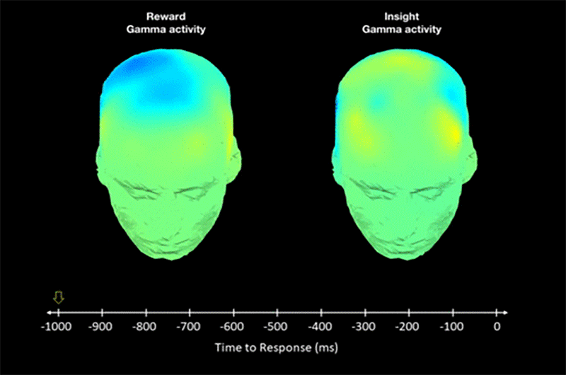 Animation showing insight-related brain activity followed by neural reward-related activity. 