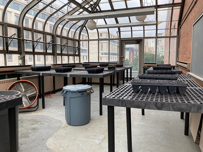 The greenhouse located inside Stratton Hall at 3201 Chestnut St. in May 2021. Photo credit: Scott Dunham.