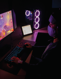 Picture of Person playing a video game on a computer