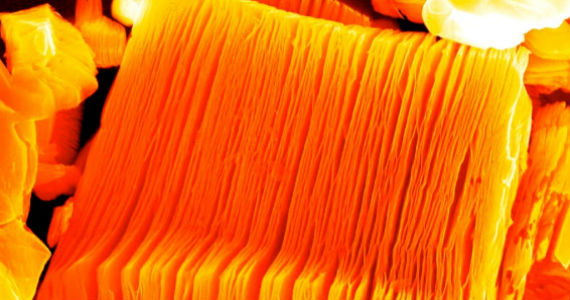 Orange toned microscopic view of MXenes