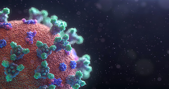 Image of microvirus under a microscope